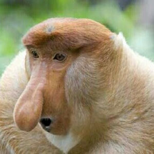 Meet your Posher, Bryan